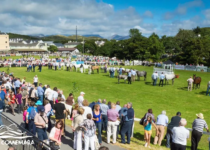 Tatil Evi 490 - Clifden